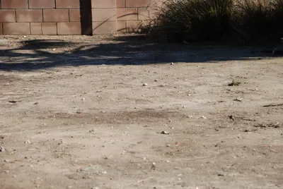 DSC_0049 (Large).JPG